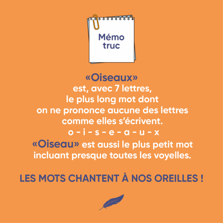 Oiseaux